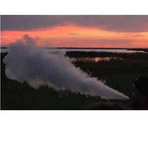 Meet your Posher, Kodiak